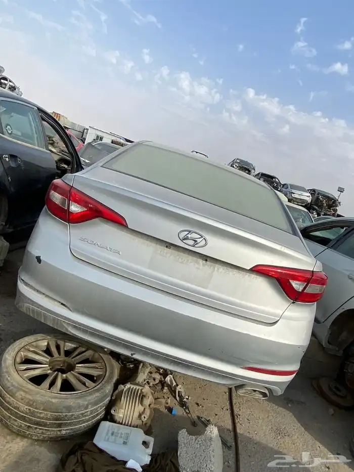 الجنسس والهولندي من 15الى 25 7