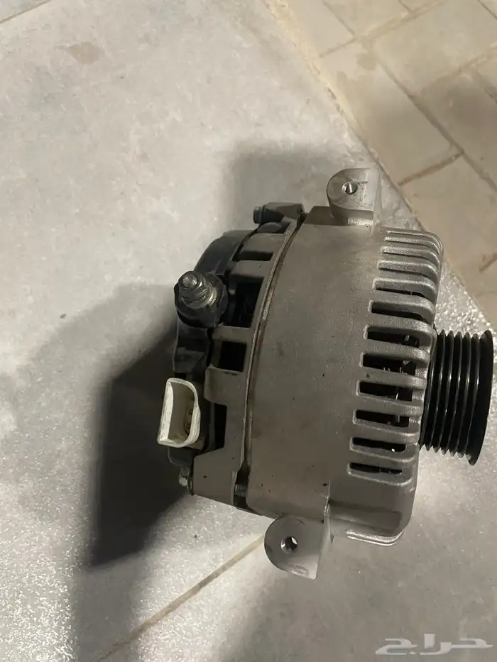 دينمو فكتوريا وماركيز 3