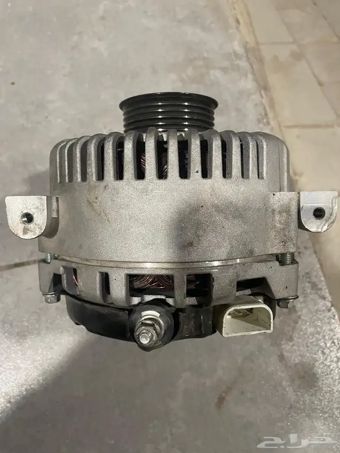 دينمو فكتوريا وماركيز 2