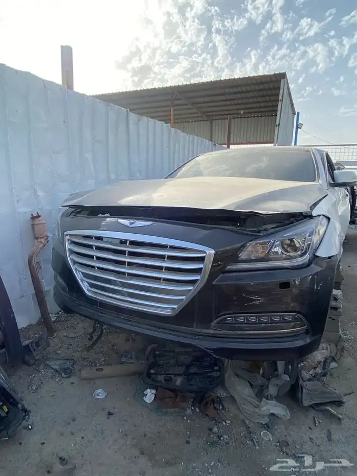 الجنسس والهولندي من 15الى 25 5