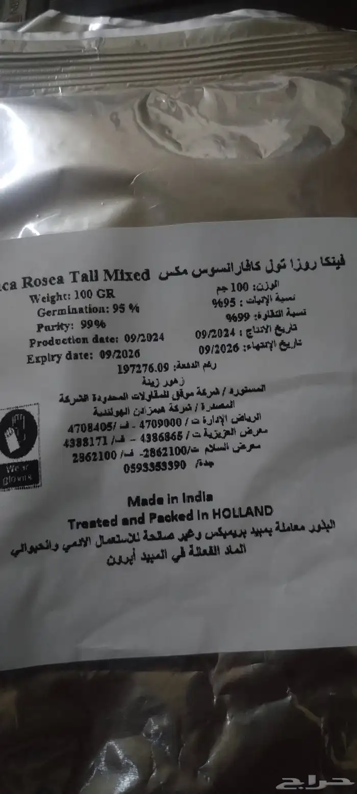 بذور بفتا هولندي مكس 1