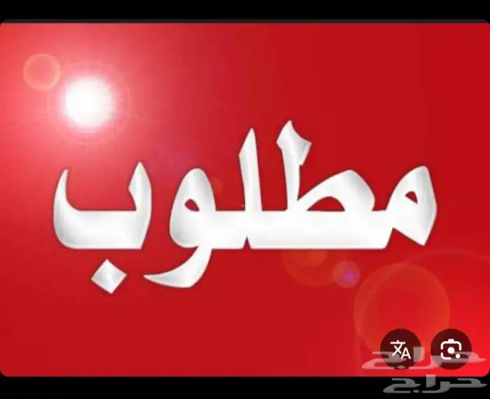 مطلوب الابتوب مستعمل وانضيف يكون رخيص 0
