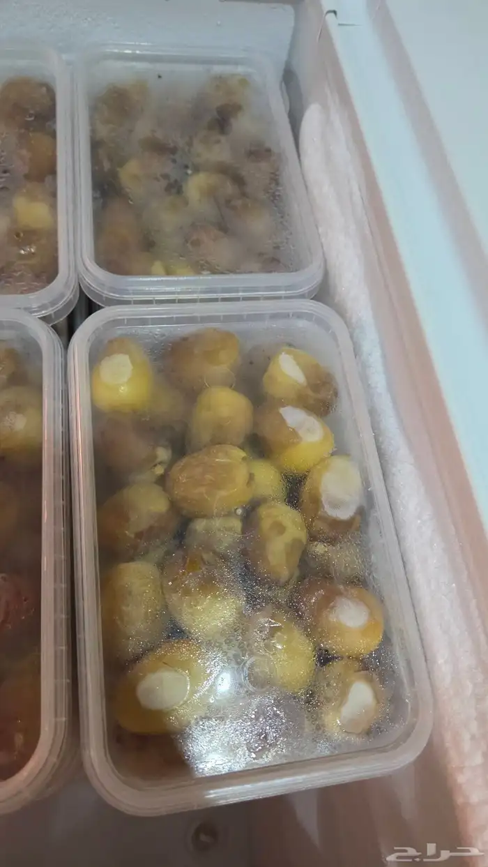 تمر برحي رطب أصفر عضوي معلب جاهز للفرزنة 0
