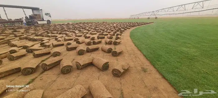 ثيل طبيعي سي الفين 0