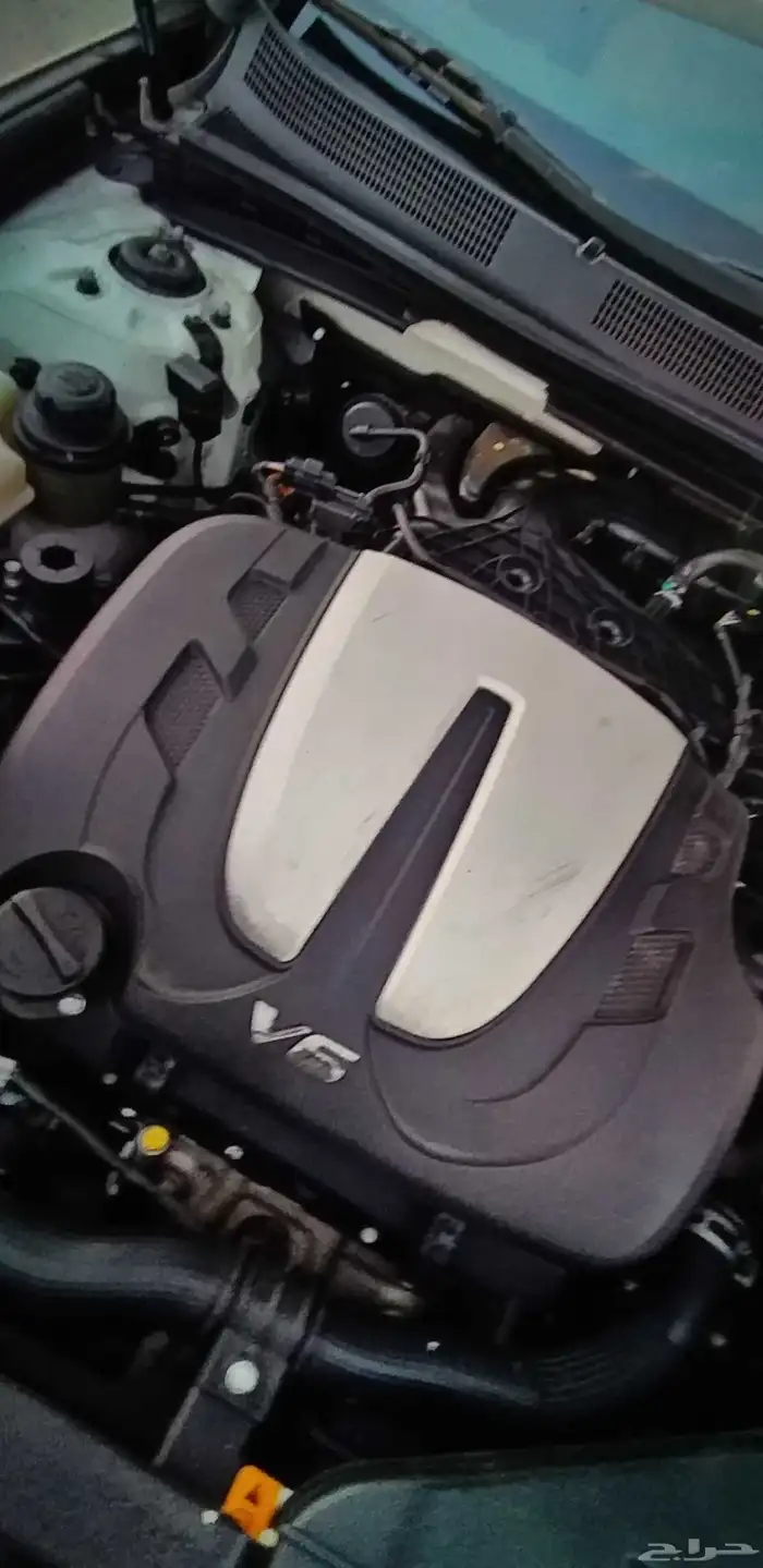 مكينة كرنفال 0