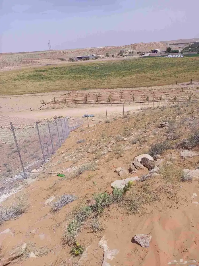 اعمال شبوك عمل شبك 2