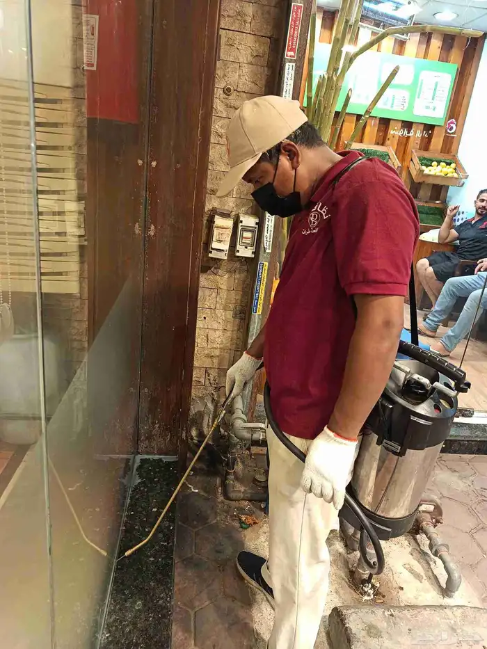شركة مكافحة حشرات رش مبيدات مكافحة الصراصير بق وزغ وعتة وفئر 0