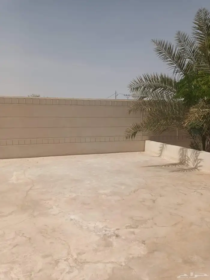 الخرج الهياثم العفجه نجديه الرحمانيه الشديده الرفايع العتيق 7