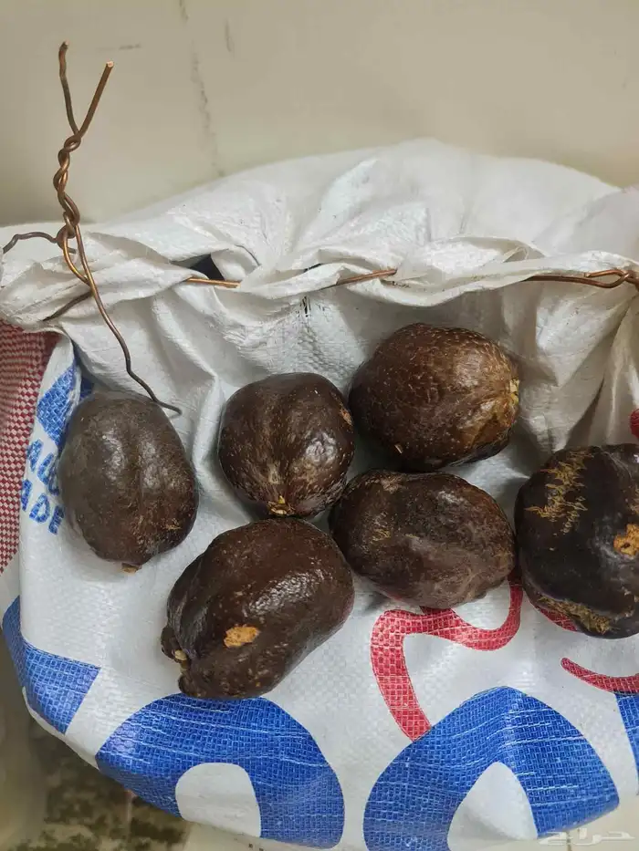 دوم للبيع بالمدينه المنوره جديد وحلو مشروط 0