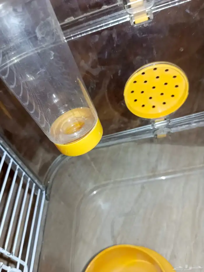 قفص هامستر كبير من امازون 3