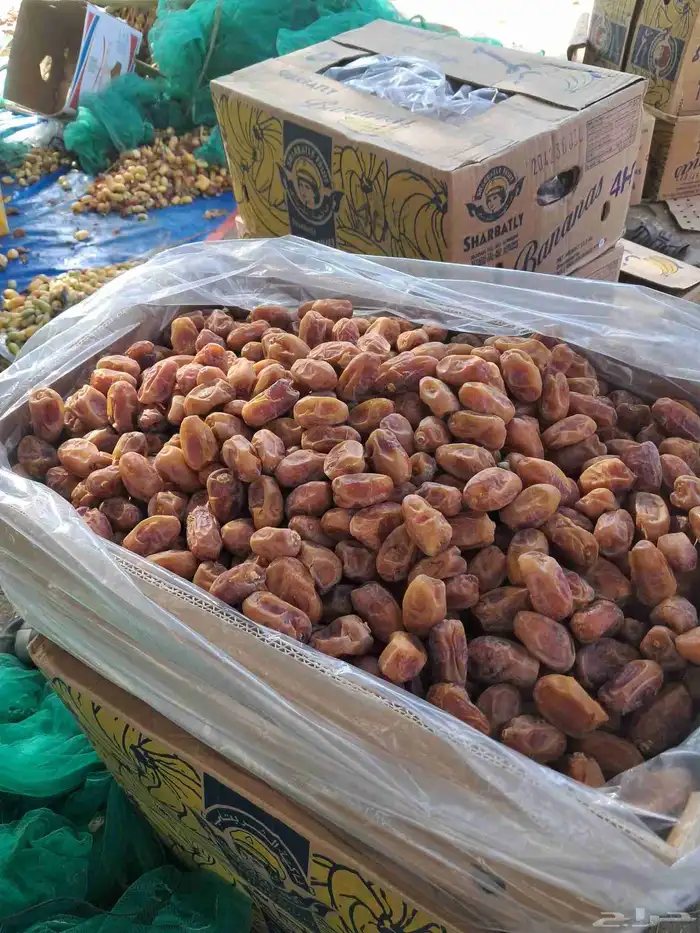 للبيع تمر اخلاص كميه 2000كرتون 0
