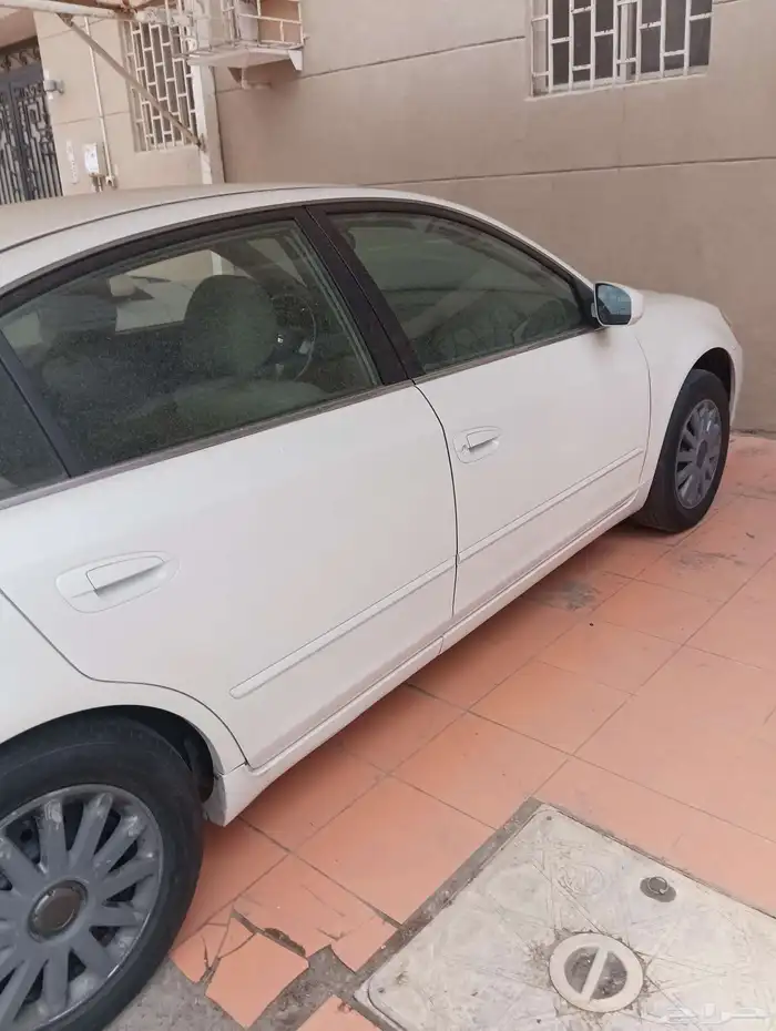 التيما 2007 1