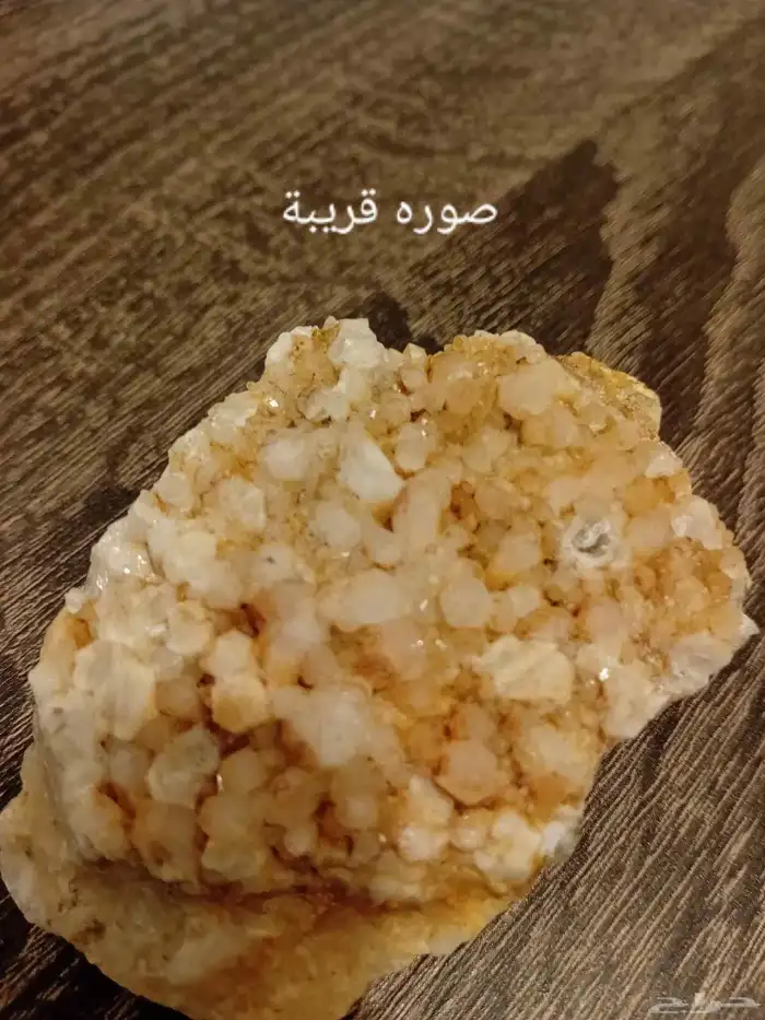 حجر بلورات كوارتز في بيشه 4