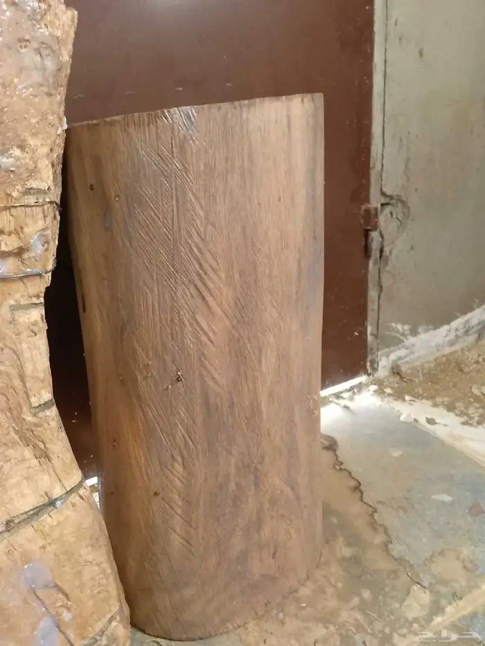 عوادين النحل فيه واحد قفله 2