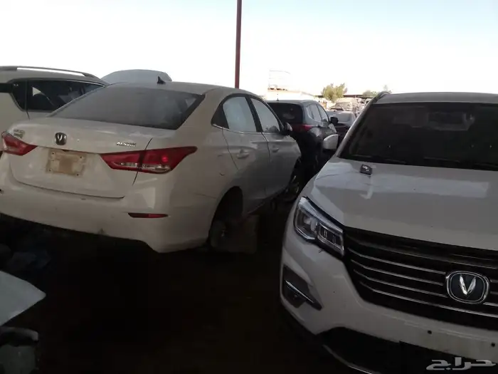 شنجان السفن 23 2