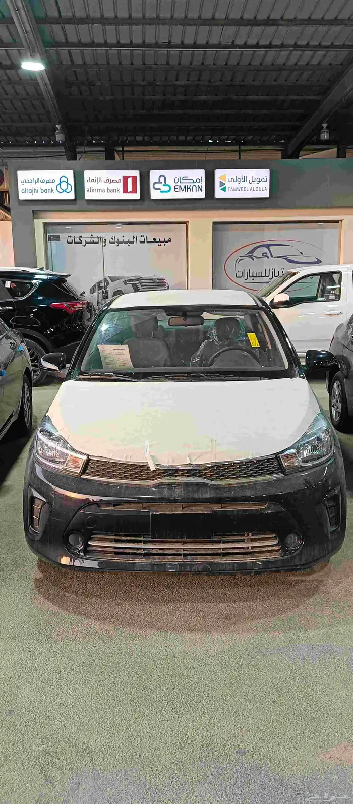 تم البيع الله يبارك لراعيها 0
