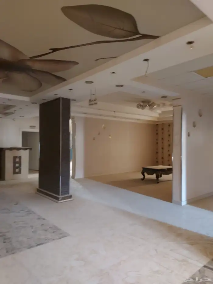 عماره للايجار الشقق فقط مخرج11 1