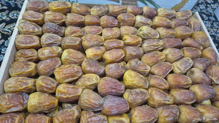 تمر للبيع من المزرعه سكري مفتل وجلكسي 1