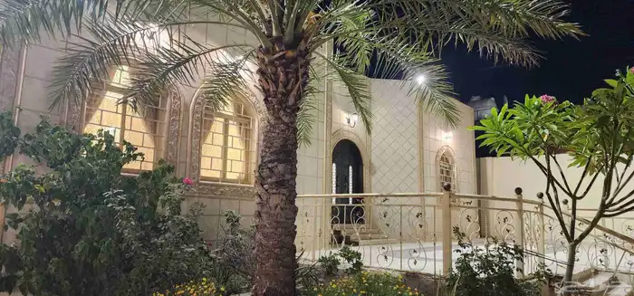 ريحة الواسط 0