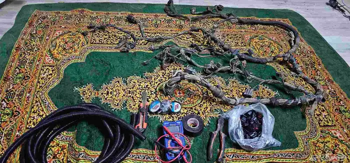 فكتوريا وماركيز 0
