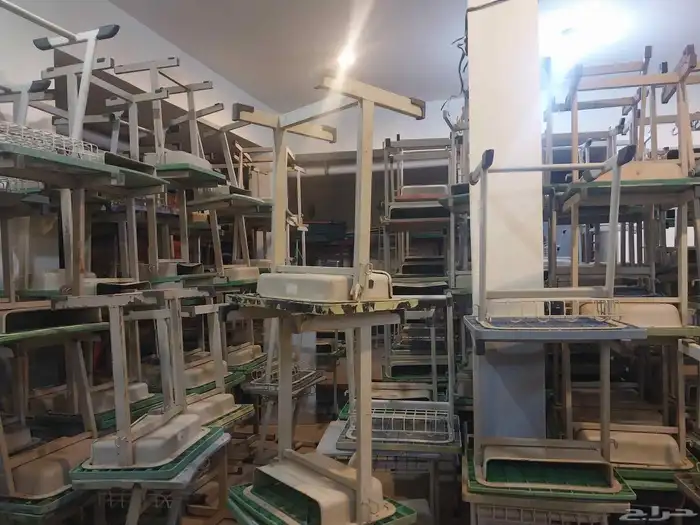 كراسي وماسات مدارس اللون اخضر الحاله مستعمله البيع للكميات 2