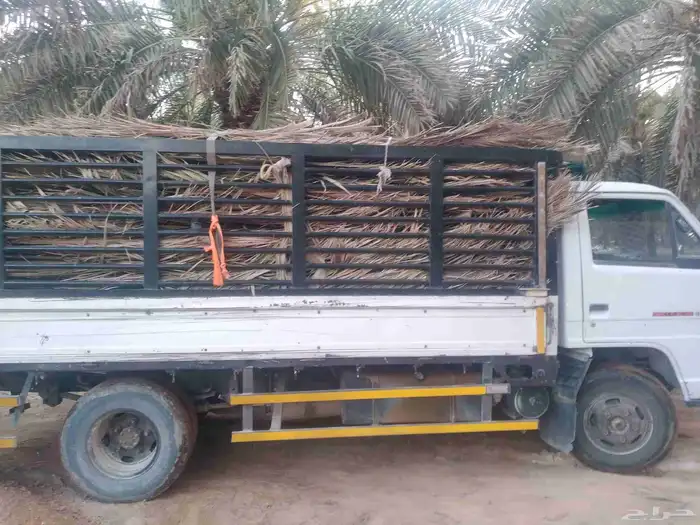 سعف نخل جديد أخضر للعرايش والمظلات 2