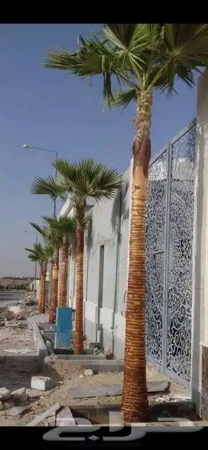 مشاتل الروضه 5