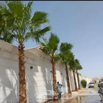 القصيم 0