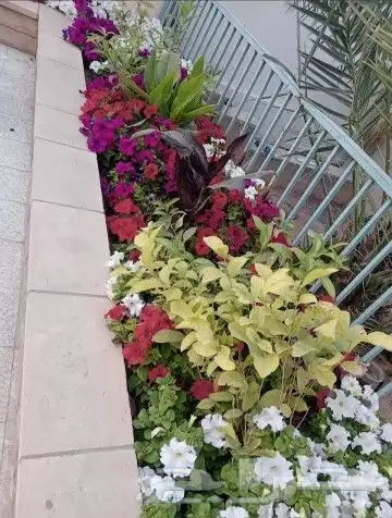 مشاتل الروضه 1
