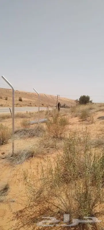 مقاول شبوك شبوك مزارع بوابات حديديه 0