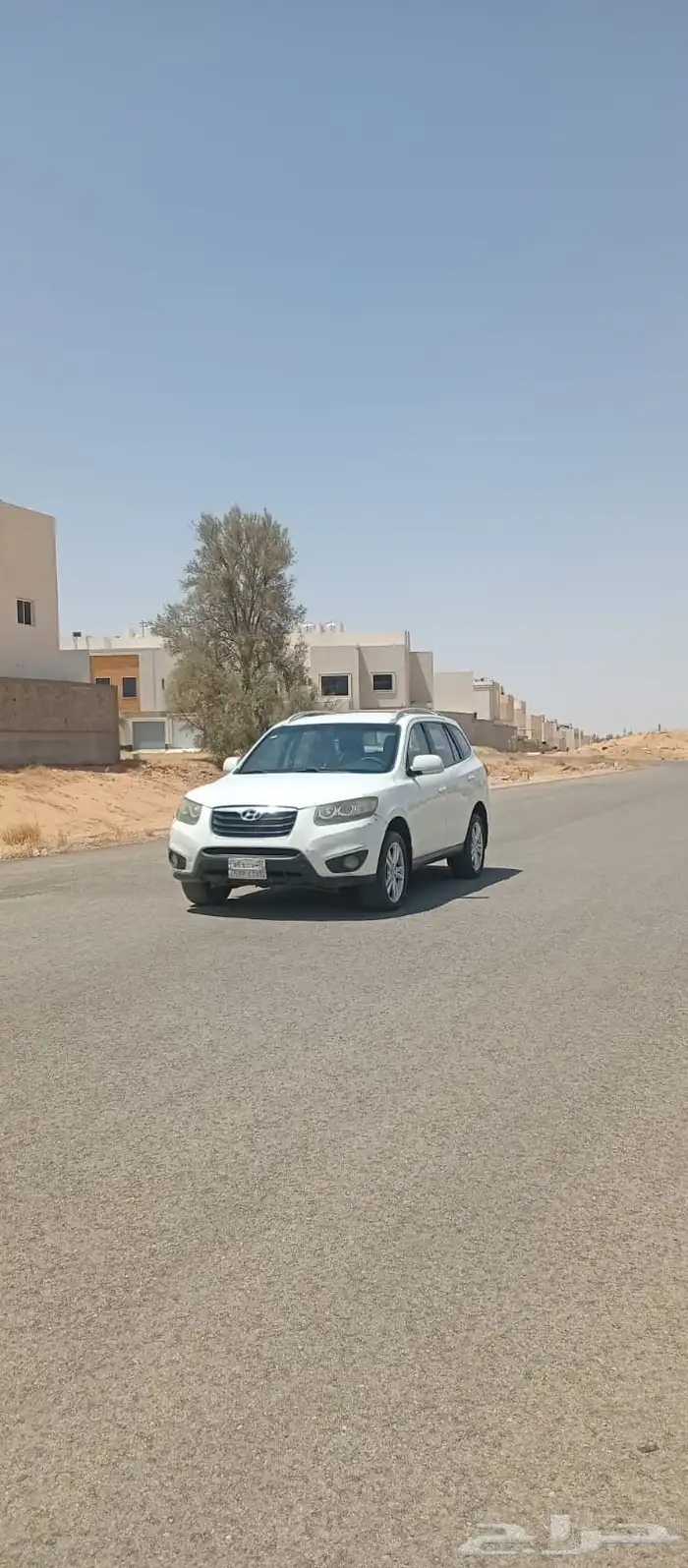 سنتافي 2011 0