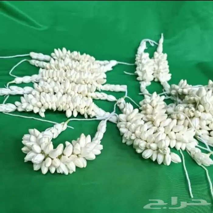 يوجد لدينا جميع واشكال الفل تصميم حسب الطلب للحجز مسبق 7
