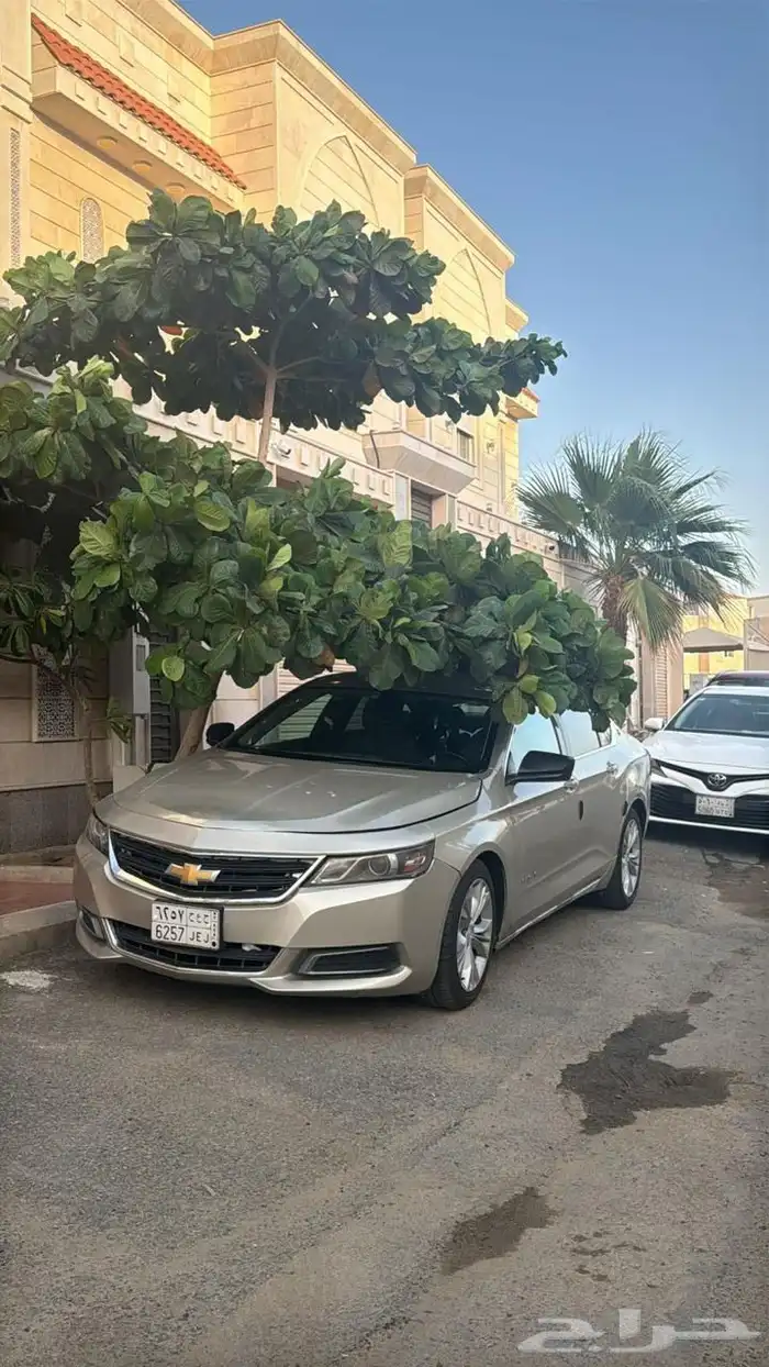 امبالا 2015 مالك اول بعد البنك 6