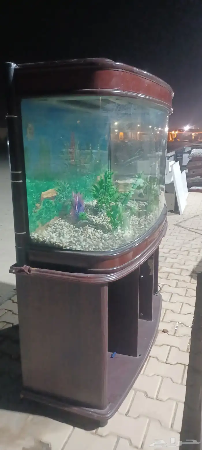 حوض سمك كبير 2
