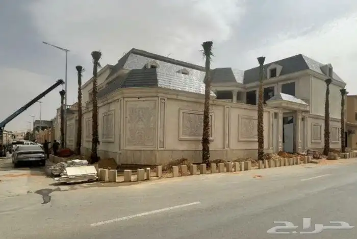 نخل واشنطن زينه 3