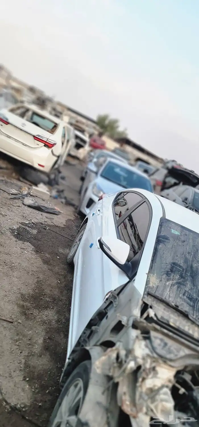 سوناتا 2019 4