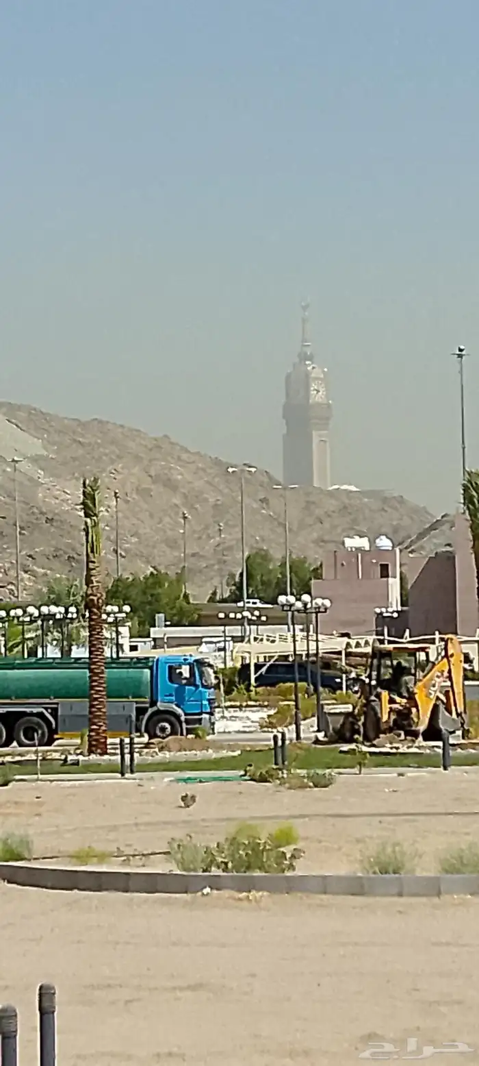 نخل للبيع مكه جده 3