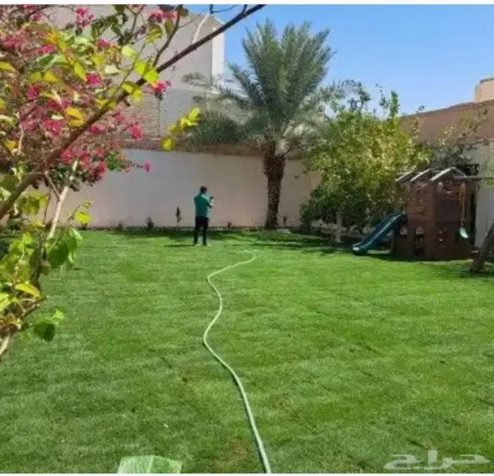 تنسيق وزراعة جميع الشتلات والأشجار والنخل 2