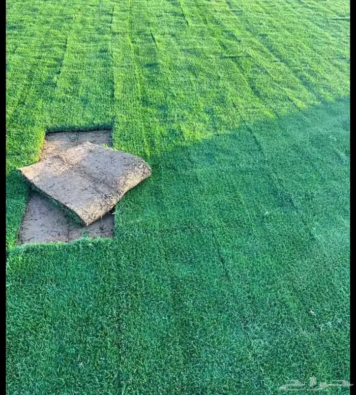 ثيل طبيعي درجة اولى C2000 9