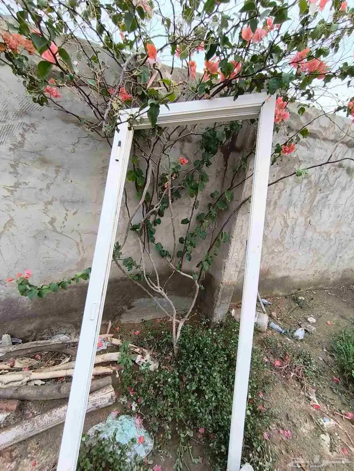 باب المنيوم 1