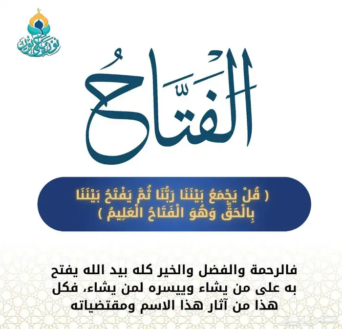 تصميم بوسترات و فيديوهات بأسعار خيالية 6