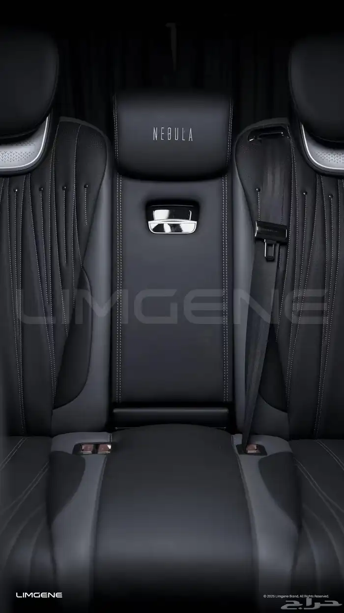 Benz VIP van 6
