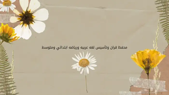 محفظ قران وتأسيس لغتي ورياضيات ومتابعه ابتدائي ومتوسط 0