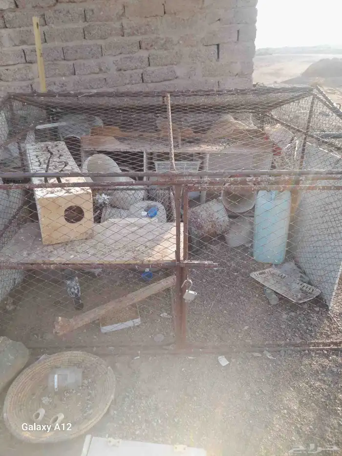 شبك 2