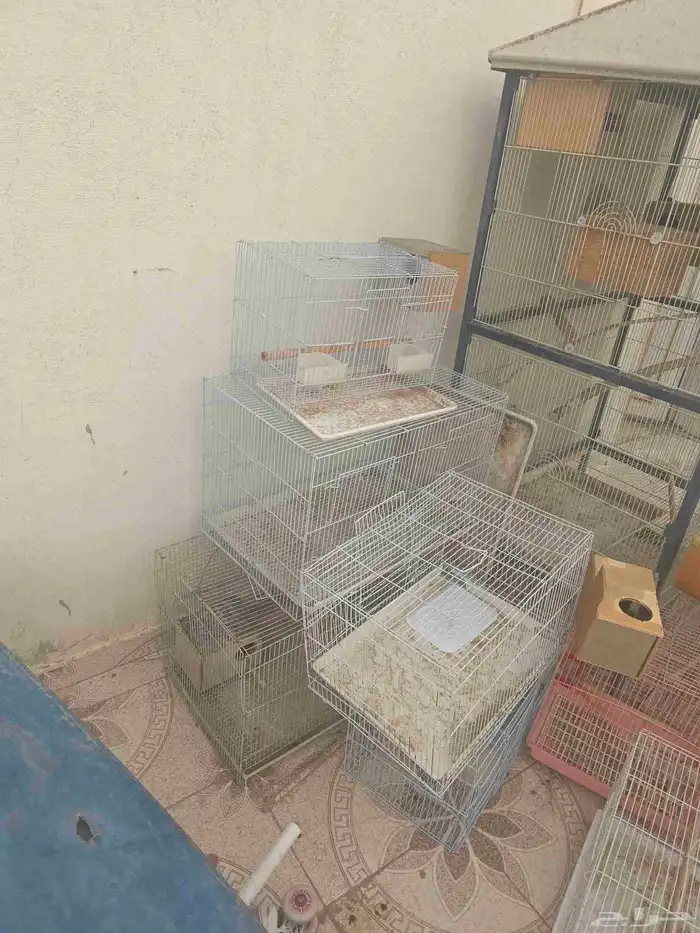مجموعة اقفاص طيور ومطير جمله 1