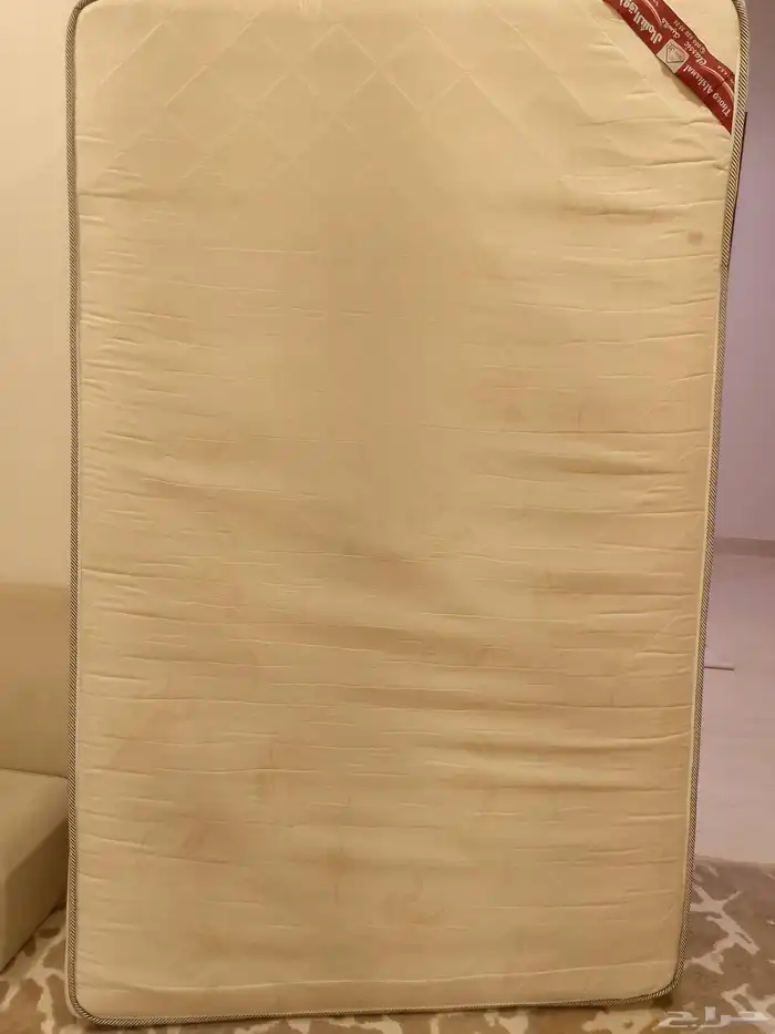 دوشق جديد 2