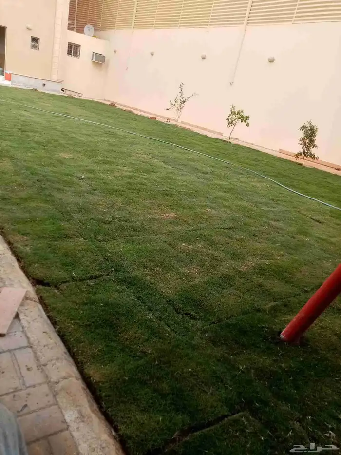 اجود انواع التيل السي 200 اسعار خاصه المسحات الكبيره ارخص ا 0