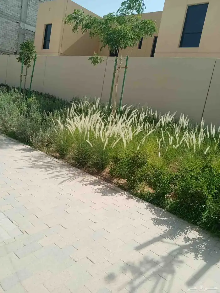 مشتل زراعي 17