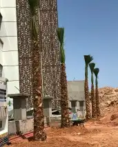 لبيع.النخيل.وتركيب.الشبوك 5