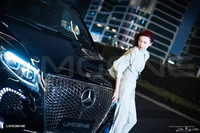 Benz VIP van 8